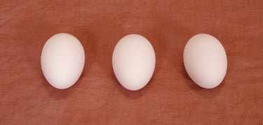 /c/e/ceramic_eggs9.jpg